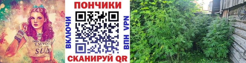 Наркошоп Шадринск Конопля  Кокаин  Амфетамин  Меф мяу мяу  Альфа ПВП 