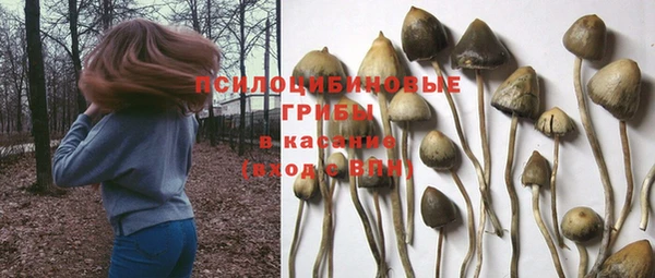гашишное масло Аркадак