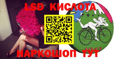 прущие грибы Комсомольск-на-Амуре