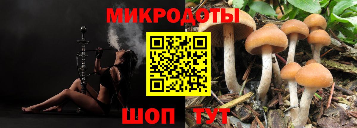 Псилоцибиновые грибы Psilocybine cubensis  Галлюциногенные грибы мицелий  Шадринск  Вход с VPN 